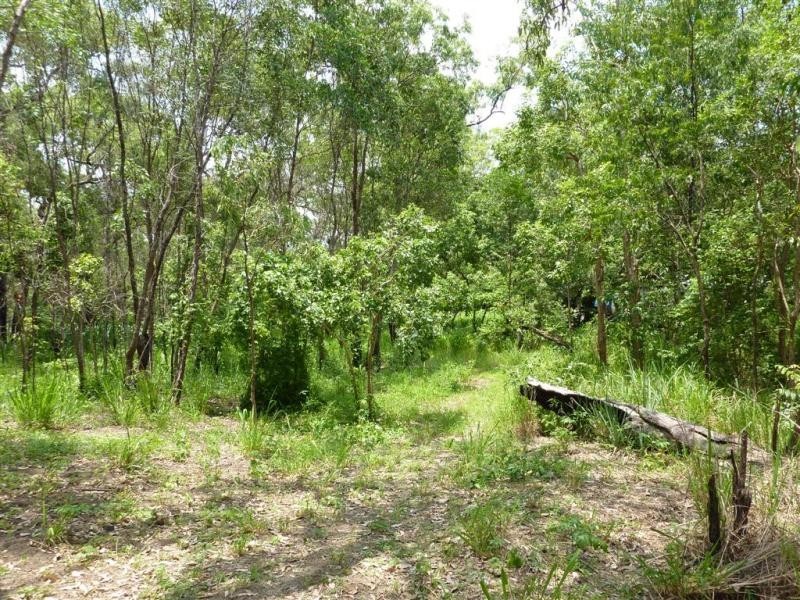 1 Curlew Street, East Trinity QLD 4871