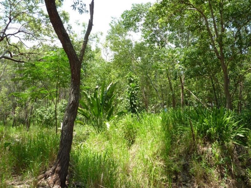 1 Curlew Street, East Trinity QLD 4871