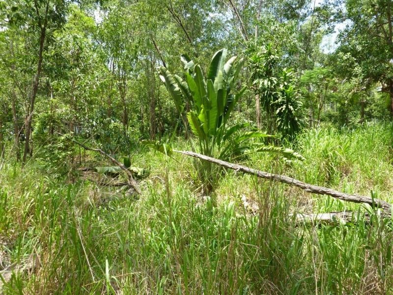 1 Curlew Street, East Trinity QLD 4871