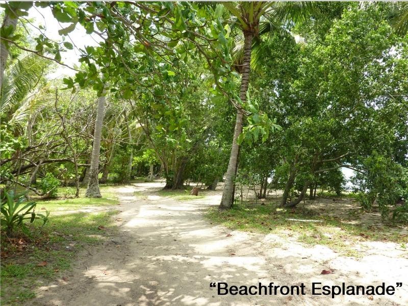 1 Curlew Street, East Trinity QLD 4871