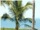 77 Taylor Street, Tully Heads QLD 4854
