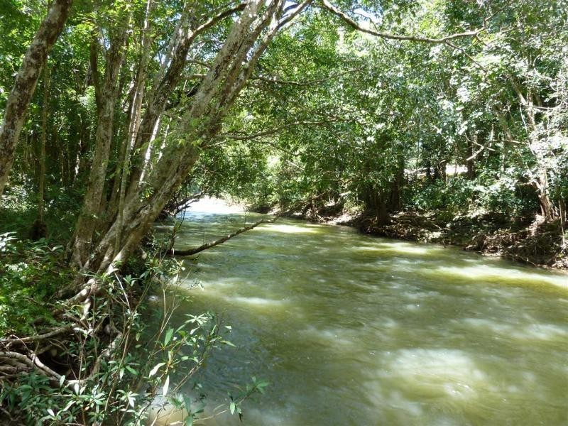 1 Daykin Close, Redlynch QLD 4870