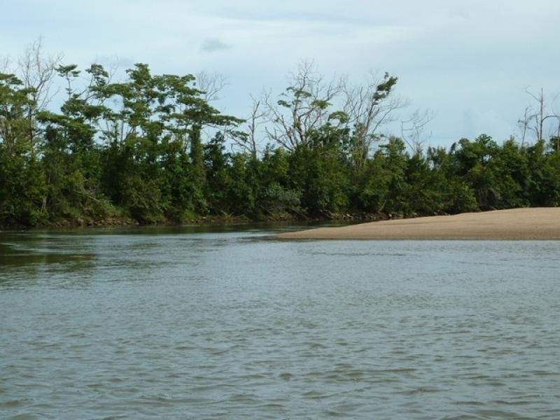 79 Taylor Street, Tully Heads QLD 4854