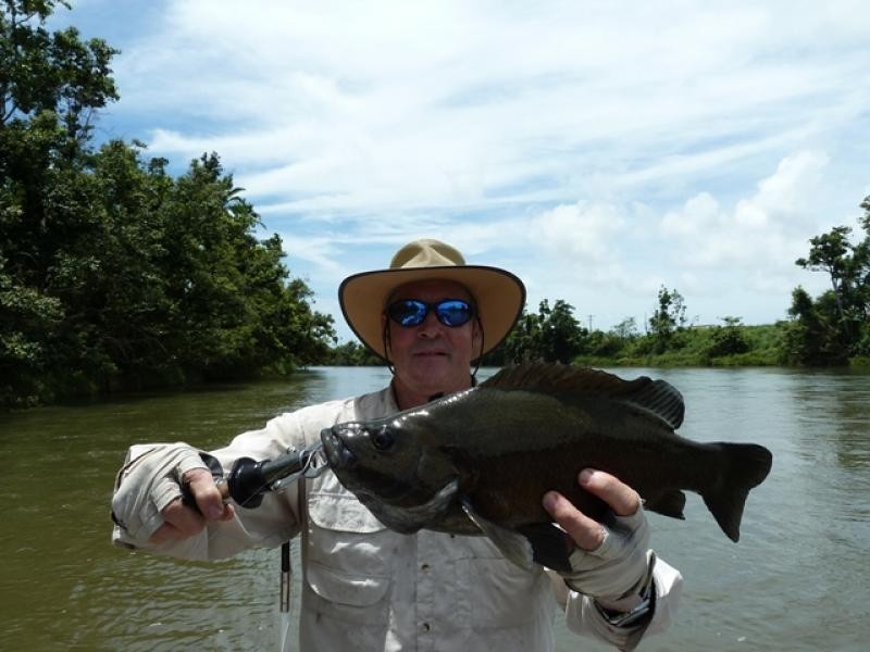 79 Taylor Street, Tully Heads QLD 4854