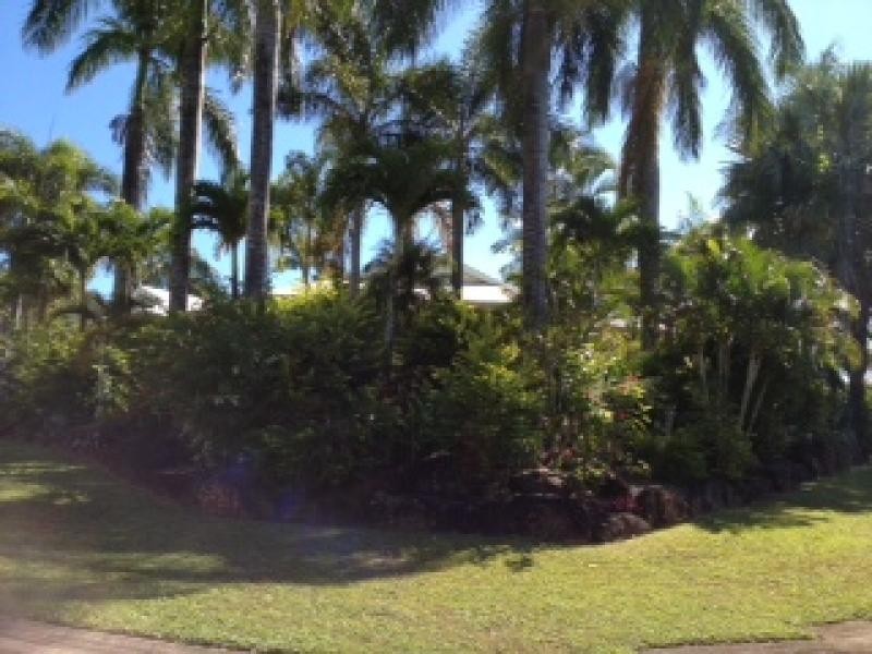 1 Albizia Close, Redlynch QLD 4870