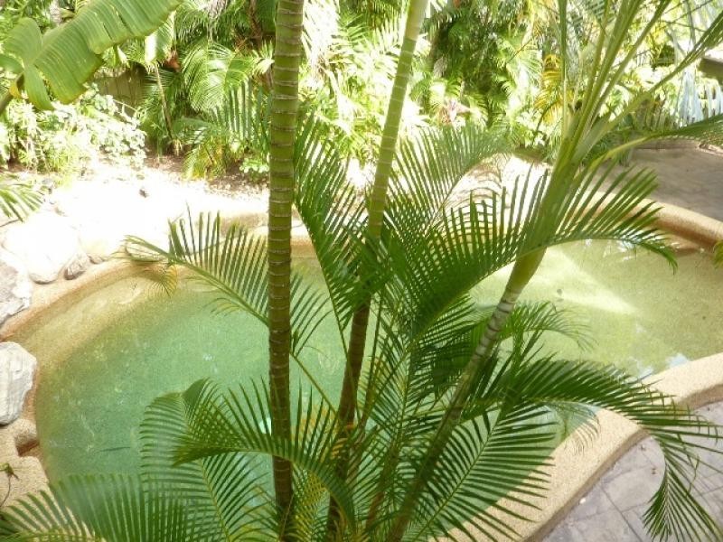 49 Gavin Street, Smithfield QLD 4878