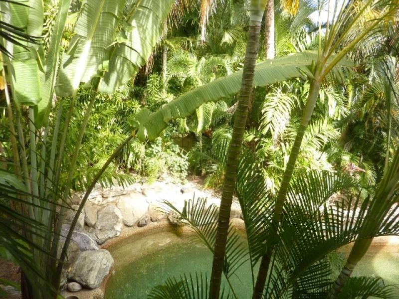 49 Gavin Street, Smithfield QLD 4878