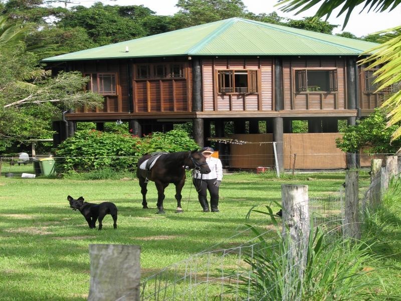 5 Borzi Rd, Shannonvale QLD 4873