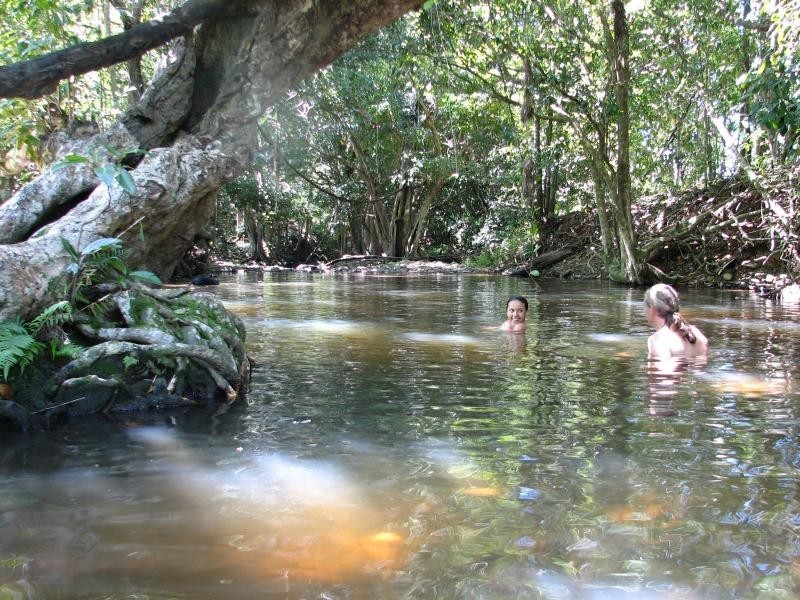 5 Borzi Rd, Shannonvale QLD 4873