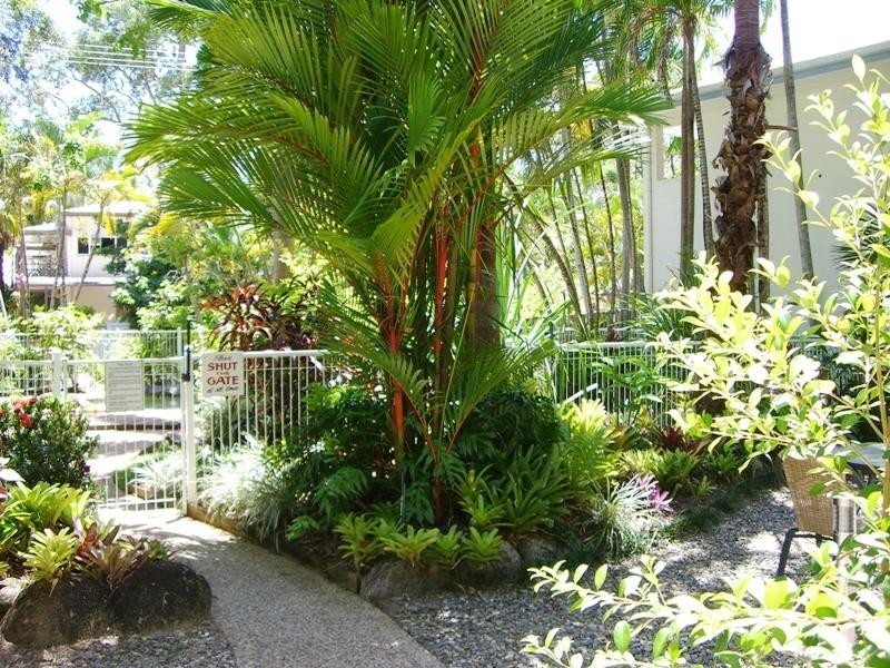 4/15 Tropic Court, Port Douglas QLD 4877