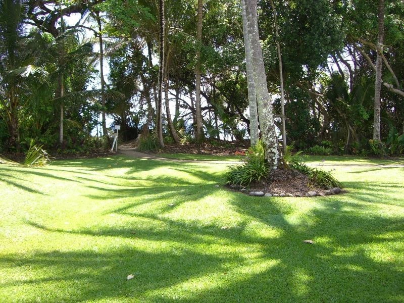 409 Pandanus Way East, Port Douglas QLD 4877