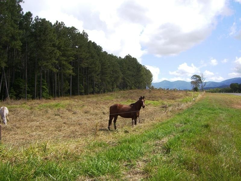 212 Euluma Creek Road/Rasmussen Road, Julatten QLD 4871