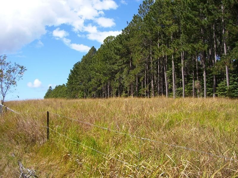 212 Euluma Creek Road/Rasmussen Road, Julatten QLD 4871
