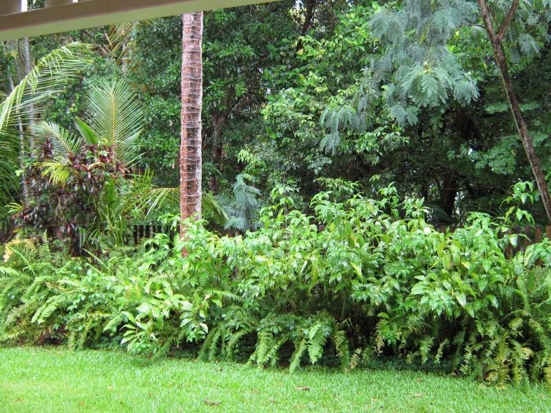 15/29 Nautilus Street, Port Douglas QLD 4877