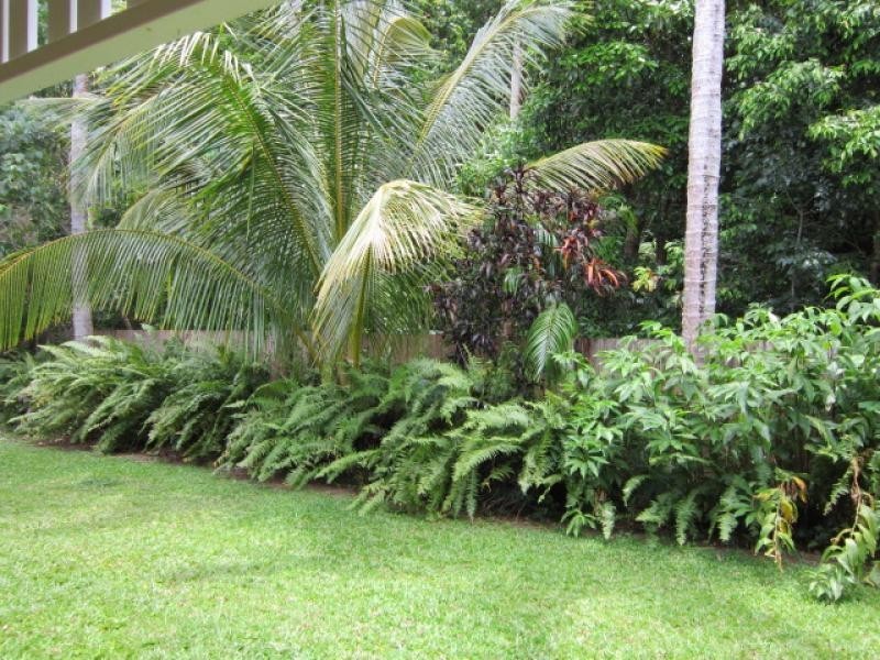 15/29 Nautilus Street, Port Douglas QLD 4877