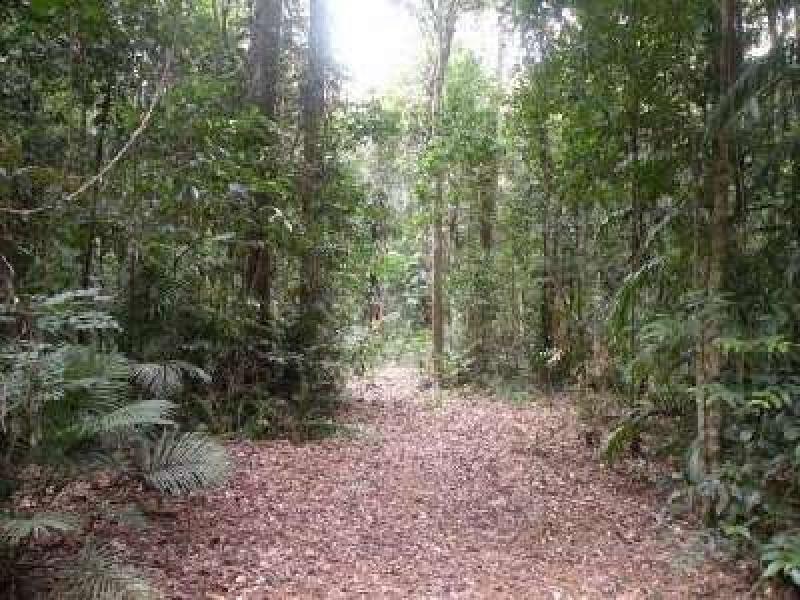 29 Salisbury Drive, Julatten QLD 4871