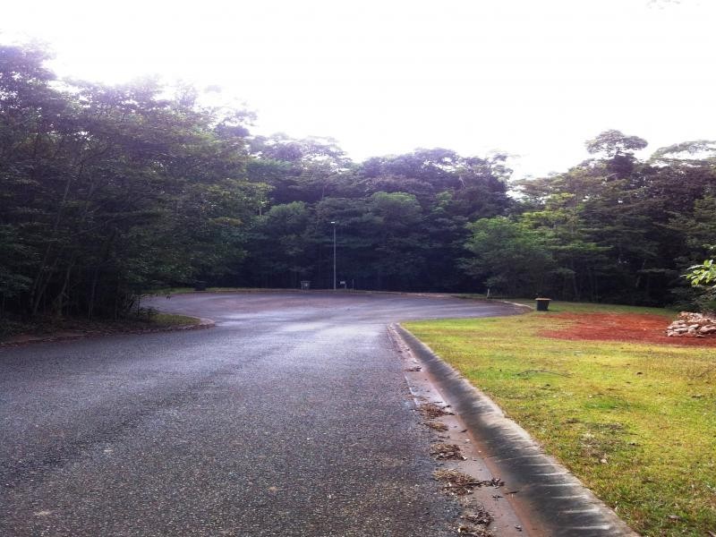 29 Salisbury Drive, Julatten QLD 4871