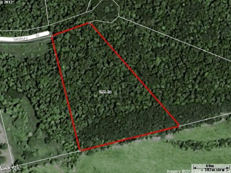 29 Salisbury Drive, Julatten QLD 4871