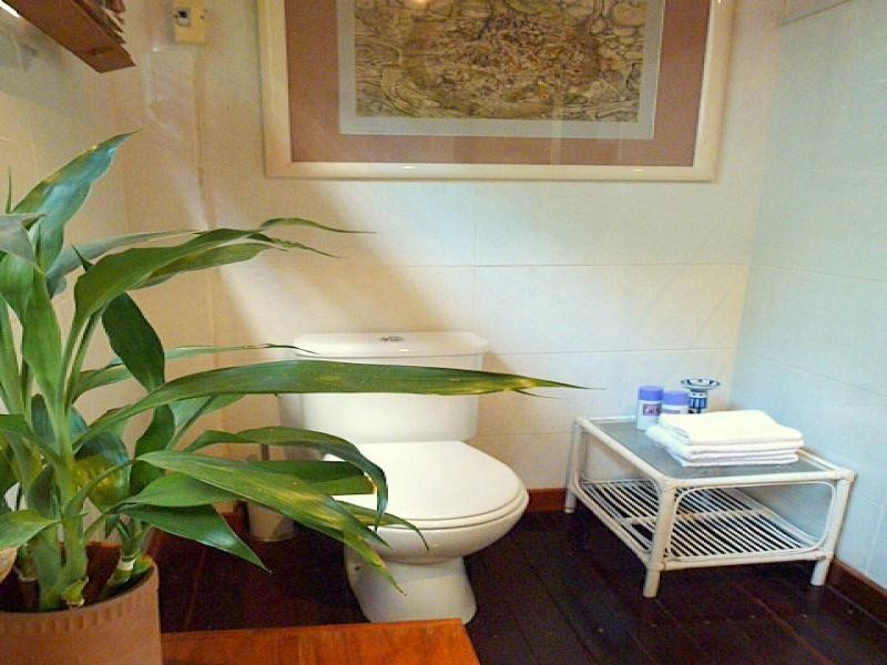 Lot 236 White Beech Road, Daintree QLD 4873