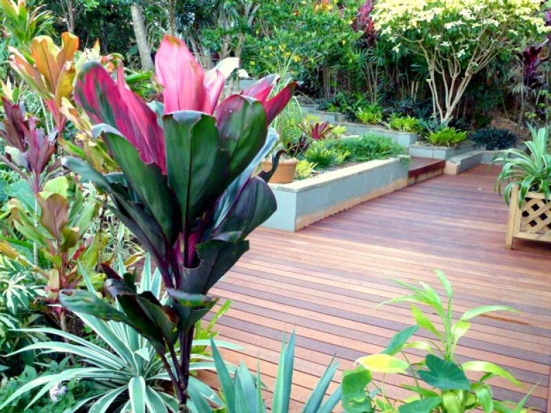 Lot 236 White Beech Road, Daintree QLD 4873