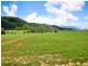 Port Douglas QLD 4877