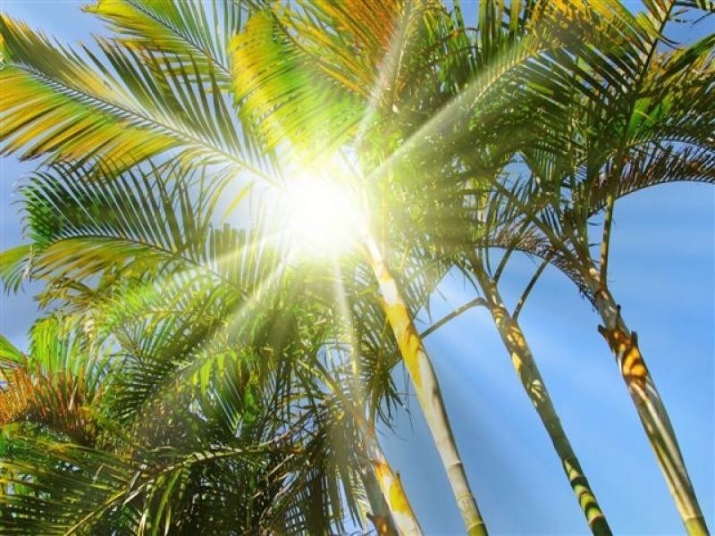 115 Davidson Street, Port Douglas QLD 4877