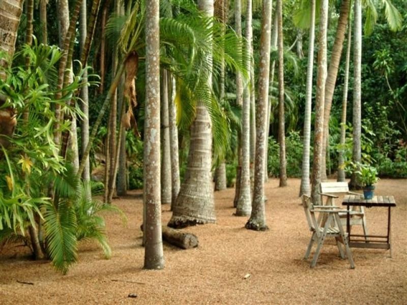 115 Davidson Street, Port Douglas QLD 4877