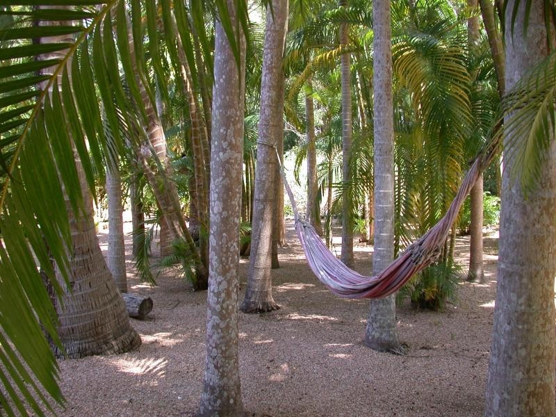 115 Davidson Street, Port Douglas QLD 4877