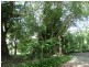 Mossman QLD 4873