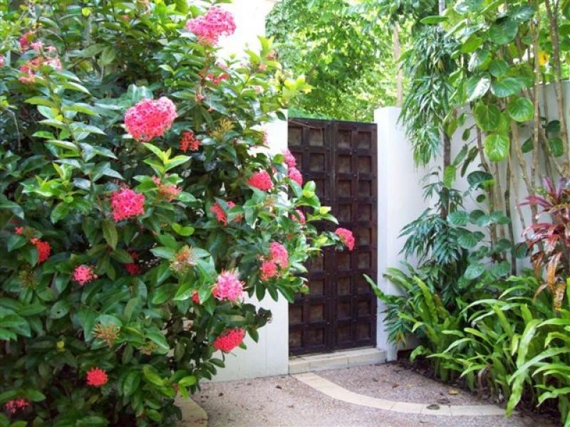 13 Sand Street, Omkara, Port Douglas QLD 4877