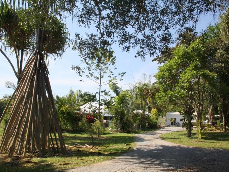 244 CLACHERTY RD, Julatten QLD 4871