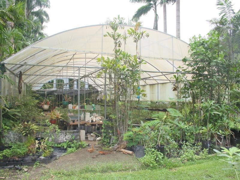 244 CLACHERTY RD, Julatten QLD 4871