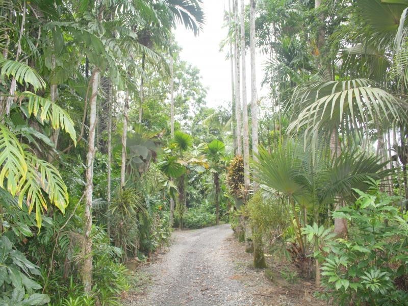 244 CLACHERTY RD, Julatten QLD 4871