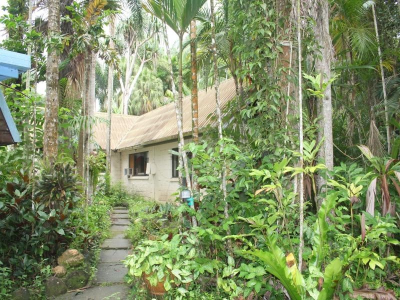 244 CLACHERTY RD, Julatten QLD 4871