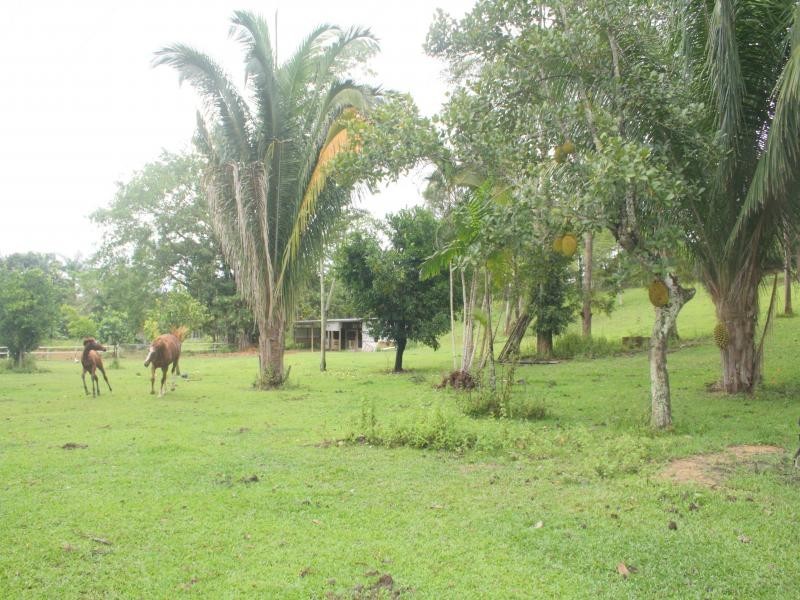 244 CLACHERTY RD, Julatten QLD 4871