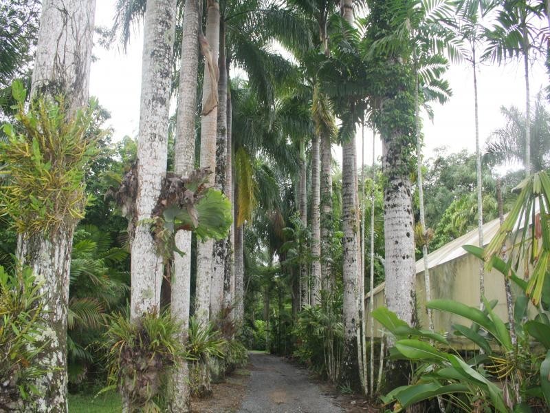 244 CLACHERTY RD, Julatten QLD 4871