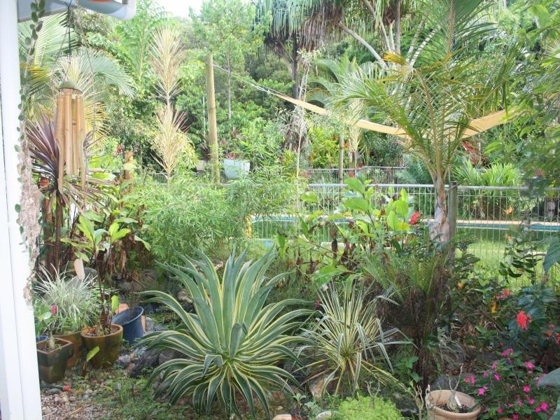 244 CLACHERTY RD, Julatten QLD 4871