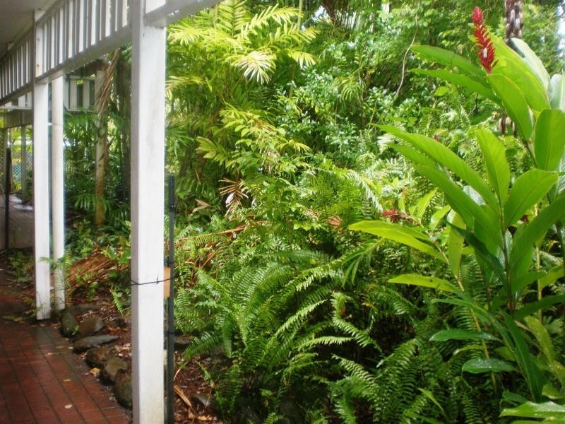 Port Douglas QLD 4877