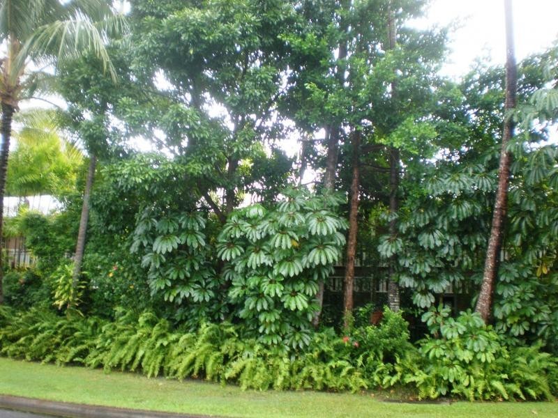 Port Douglas QLD 4877