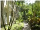 C116 (lot 224)/316 Port Douglas Rd, Port Douglas QLD 4877