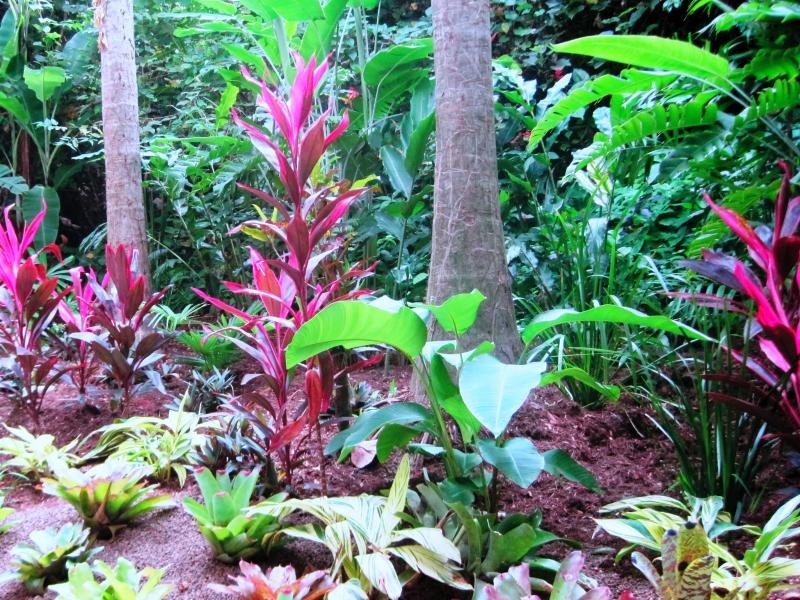 By The Sea – Holiday Studio Apartments, Port Douglas QLD 4877