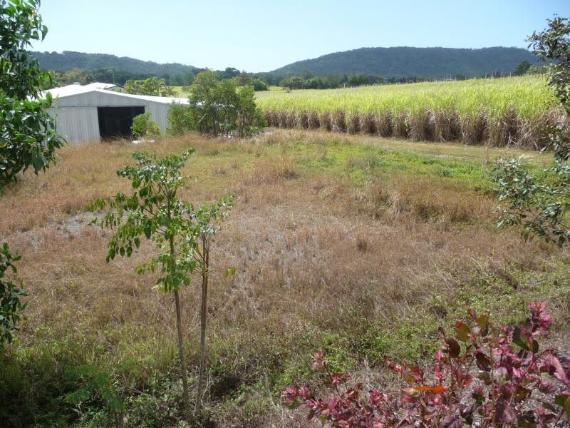 20 Theresa Drive, Mossman QLD 4873