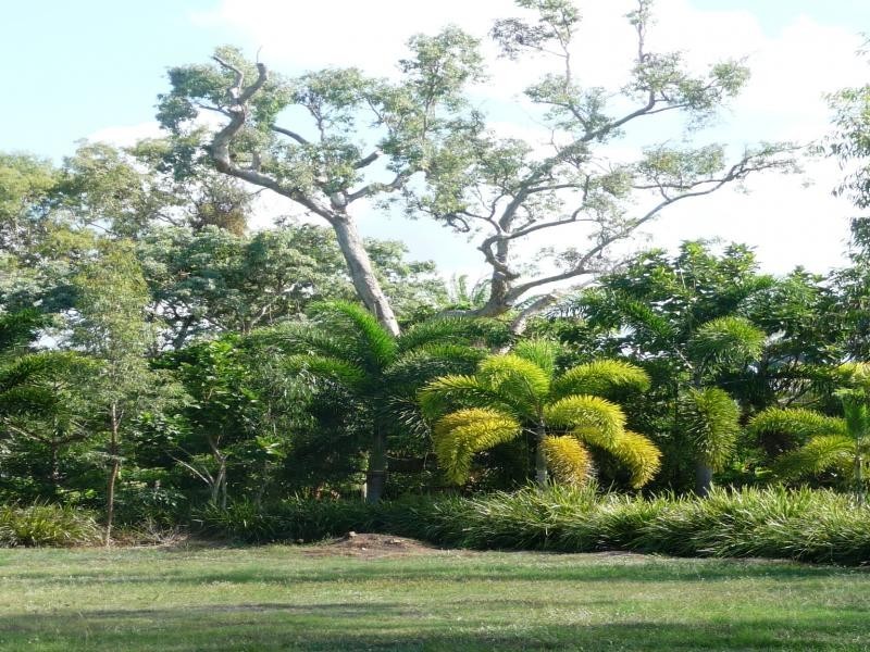 Lot 22 Beachfront Mirage, Port Douglas QLD 4877