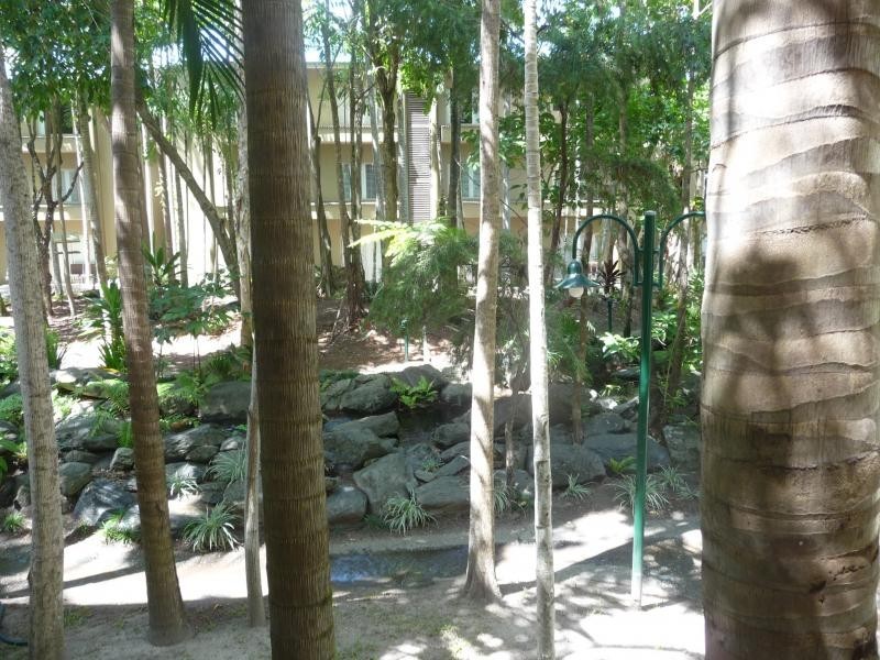 316 Treetops Resort, Port Douglas QLD 4877