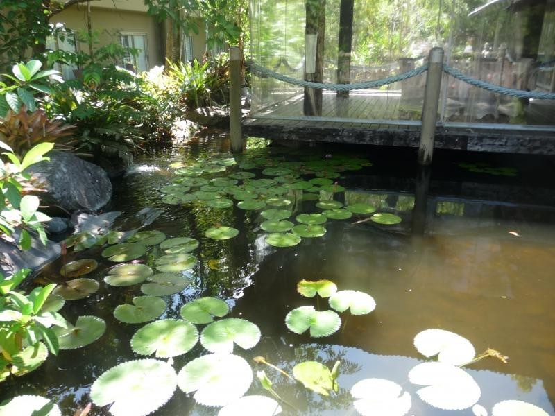 316 Treetops Resort, Port Douglas QLD 4877