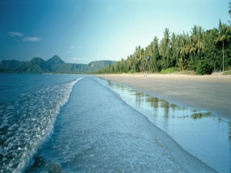 1/21 Pecten Ave, Port Douglas QLD 4877