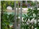 69/ Rendezvous Resort, Port Douglas QLD 4877