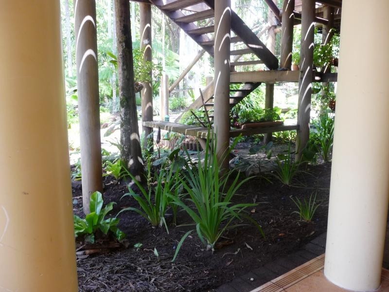 1 Presidential Villas/14 Andrews Close, Port Douglas QLD 4877
