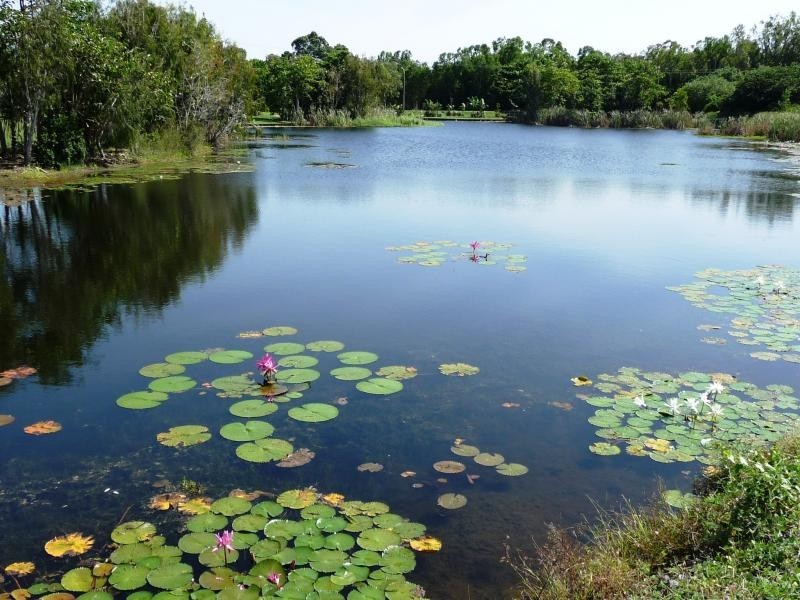 Port Douglas QLD 4877