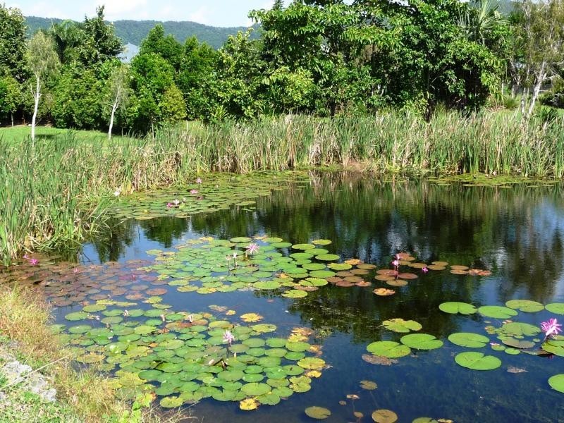 Port Douglas QLD 4877